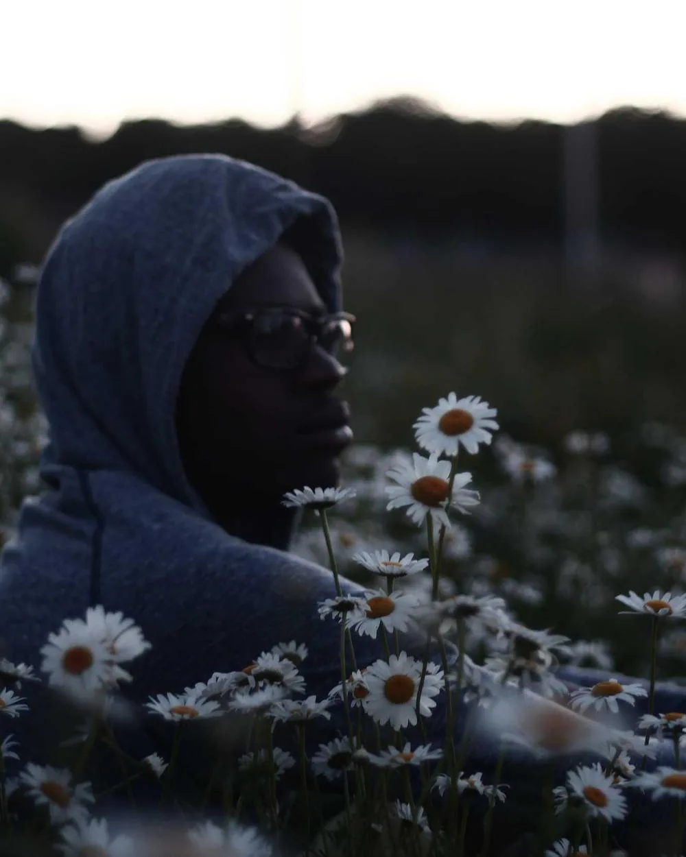 Creator in a hooded jacket surrounded by daisies