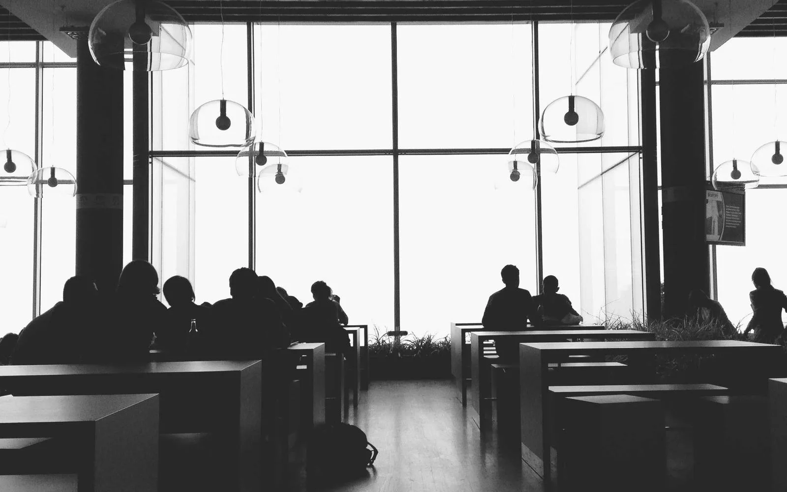 Travellers silhouetted against a tall window in a transit hall